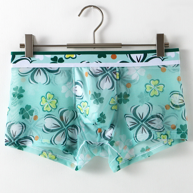 Ultradunne transparante ijszij - Mesh Sport Boxer recensie en prijs