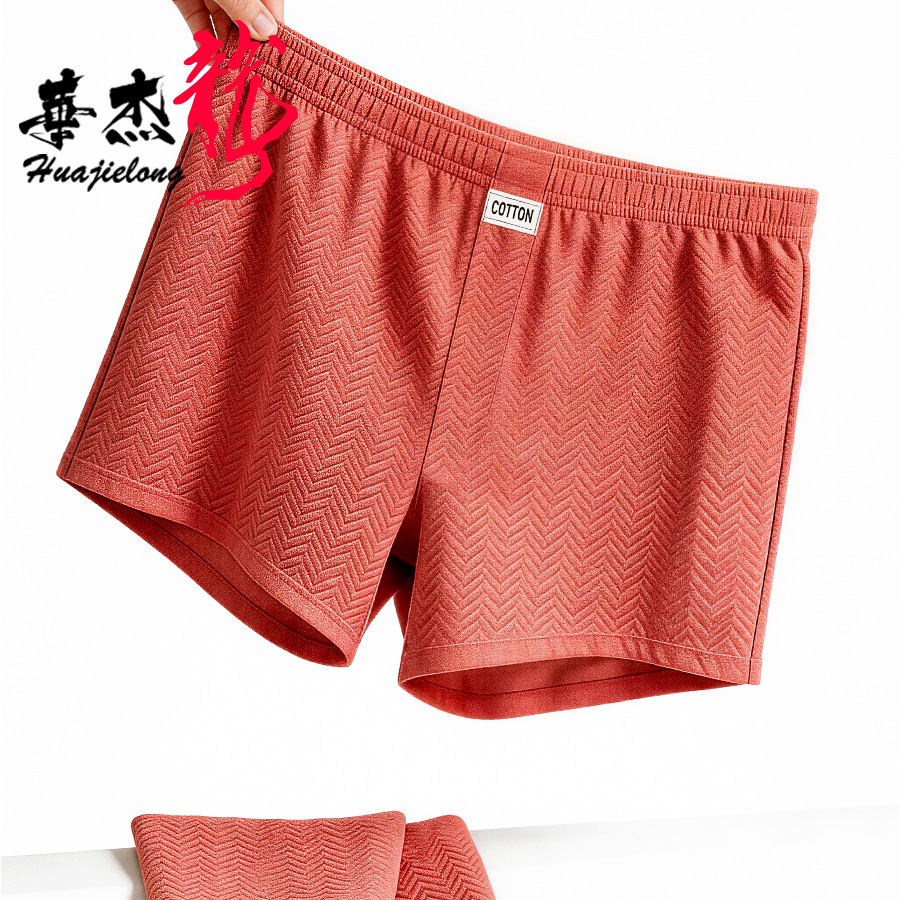 Zomer Nieuwe Herenonderbroeken - Boxer Brief Pack Cotton recensie en prijs