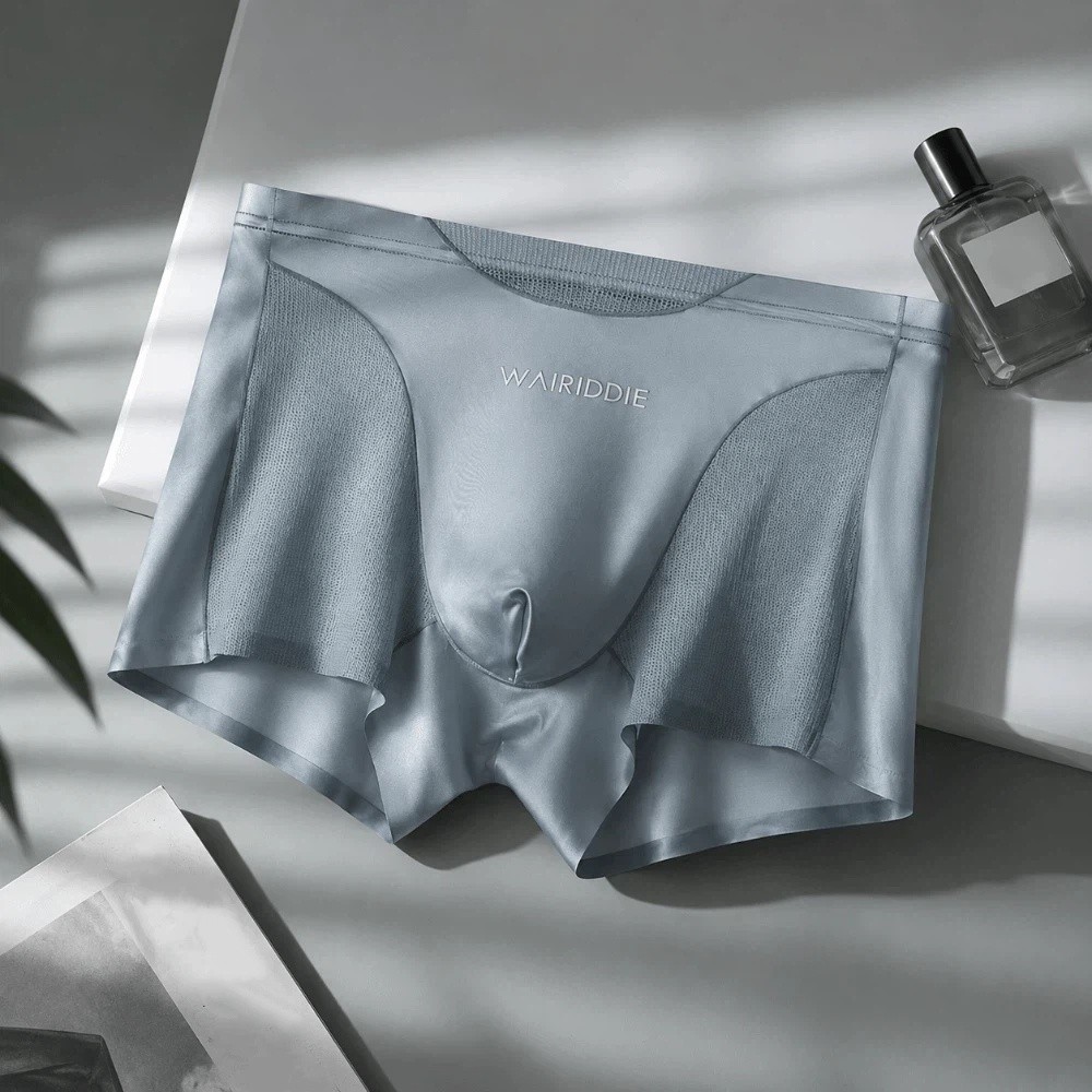 Eenvoudig mesh ijszijde onderg - Mesh Sport Boxer recensie en prijs